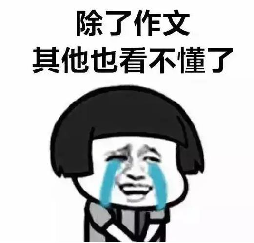 什么触动了我的心灵作文800字，雨触动了我的心灵作文800字